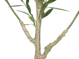 Nearly Natural Artificial Olive Tree UV Resistant 180cm V637-DP1140911