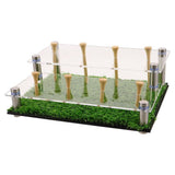 Transparent Golf Ball Display Box with Green Acrylic for Souvenir Display and Safety V1369-AZ3-W-13195