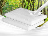 Dreamz 2x Natural Latex Pillow Removable BED1005-2-WH