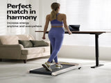 Artiss 360mm Treadmill Electric Walking Pad with 140cm Automatic Standing Desk SDTM-114G-BKRB-140-360PAD