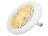 30W Light Fan 9.8in Small Aromatherapy Noiseless Ceiling Fan Light E27 LED Fan Light 86265V V1294-YM0703-3119230093111