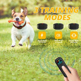 Black Dog Training Remote Control Collar V1106-DSZ-DTC-354J