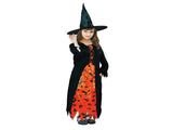 Children Wicked Witch Costume Halloween Wicked Party Dress Up - Black/Orange V563-13174-02