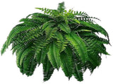 Extra Realistic UV Resistant Fern Bush for Outdoors & Indoors - for Hanging Planters, Porch, Patio, V1369-AZ3-W-15049