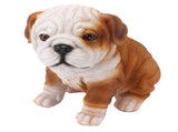 English Bulldog Puppy Statue Lifelike Resin Bulldog Sculpture for Garden Lawn Porch Decoration V1294-YM0703-3111230093412