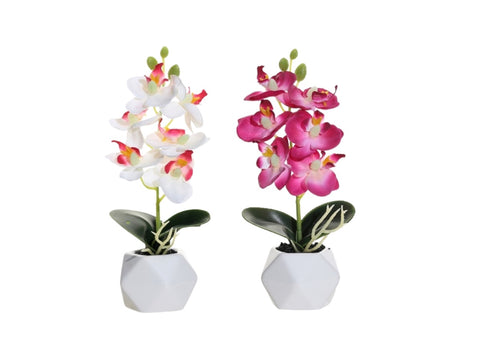 Set 2 Artificial Orchid in Ceramic Pot 10x21cm V637-AFL36432