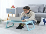 Laptop Bed Tray Table Portable Lightweight Mini Picnic Table for Laptop Working Writing Blue V1294-YM0523-3116220003611