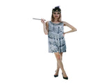 Charleston Sequin Flapper Fringe Costume Tassel Party Fancy Dress 20s 30s - Silver V563-12095-SILVER