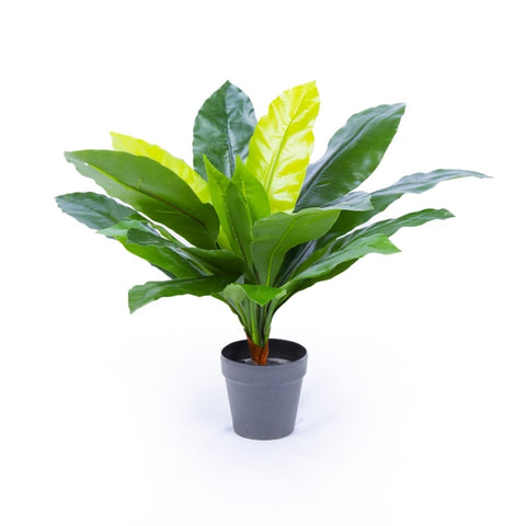 70cm Artificial Potted Birds Nest Fern V915-PA0003