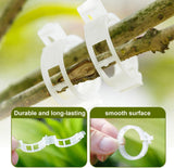 Secured Plastic Plant Clip - 100 Pcs, Garden Support Clips for Climbing Vines - Reusable, White V1258-DP02-C-2489