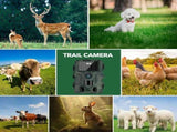 60MP 4K Green Trail Hunting Camera with WIFI Night Vision and IP66 Waterproof V178-59102