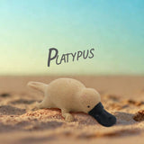 Stretchy Squishy Australian Wildlife Gift Set - Sensory Stimulation Animal Toys V274-TOY-KN-F-SQAUWAN-B