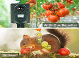 Ultrasonic Animal Deterrent Solar Powered Waterproof Outdoor Training Aid for Garden Yard Dark V1189-LC-RY-00010