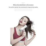 Professional Hair Dryer - Lightweight, Powerful Pro Salon Blow with Diffuser & 3 Concentrator Nozzle V1369-AZ3-W-04188