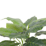 Artificial Potted Taro Plant / Elephant Ear 70cm V77-1159626