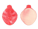 Flamingo Decorations Floating Flamingo Ornaments for Fish Pond Fish Tank Backyard Patio Lawn Small V1294-YM0703-3111230093311