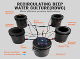 RDWC Hydroponics Grow System, Hydroponic Growing Kit with Top Drip, Recirculating Deep Water Culture V952-SSSPXT41T8INE1FIBV3