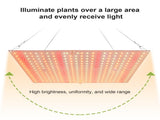 Plant Light LED Succulent Fill Light Full Spectrum Plant Grow Light Quantum Board IP20 Waterproof V1294-YM0901-L6914US-2