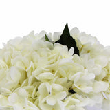 Premium Faux Hydrangea with Glass Vase 23cm V637-DP88014