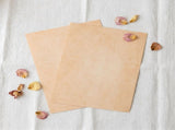 Double-Sided Vintage Parchment Paper Beige for Certificates and Writing 100Sheets V1370-AZ4-17281