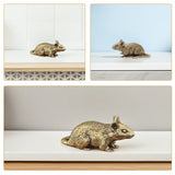 HOOWIFFY Brass Lucky Rat Figurine Traditional Feng Shui Sculpture for Home Decor and Office Display V1189-WXFWAL-20260326-02543
