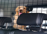 Dog Car Barrier, 96.5-168.5cm Adjustable Car Divider for Trunk Cargo Area, Universal-Fit Back Seat V952-TYTYHPTZJSCWHSP7AV0