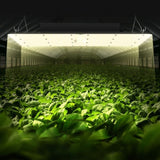 LED Grow Light, 400W Full Spectrum Dimmable, High Yield Samsung 2B1B Diodes Growing Lamp for Indoor V952-LZBZWSZ420W23WDR1V3