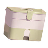 Cosmetic Storage Box 2 Layers Drawer Large Capacity Portable Makeup Storage Box with Handle for Nail V1294-YM0521-3117220310313
