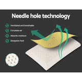 Giselle Bedding Natural Latex Pillow Classic Twin Pack PILLOW-LT-SHED-X2