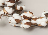 Cotton Head Wreath Decorative Dried Cotton Bolls Wreath for Front Door Wall Window Home Decor V1294-YM0901-XA154A21