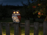 Owl Garden Statues Garden Decor LED Light,Outdoor Statues Garden Decor for Outside,Realistic V1366-AZ2-W-13821