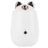Facial Steamer Portable White Nano Thermal Spray Humidifier Skin Humidifier V1294-YM0901-3113210176111