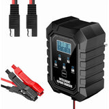 Battery Charger and Desulfator, 6V 12V Automatic Intelligent Recognition, Smart Pulse Repairer for V1192-AZ-W-22157
