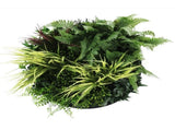 Slimline Artificial Green Wall Disc Art 50cm Grassy Fern Fields UV Resistant V637-DP9852