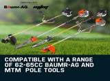 Baumr-AG Replacement Engine Motor for Pole Tool Chainsaw Brushcutter Trimmer Brush Cutter V219-PLTENGBMRA07X