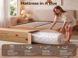 Giselle 30cm Double Spring Mattress Tencel Cover 5-Zone Firm Back Support MATTRESS-B-SONNO-30-D