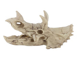 Resin Dinosaur Triceratops Skull Model Simulated Skeleton Home Office Display Decorative Craft V1294-YM0901-JY06511