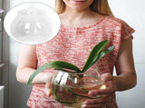 Clear Glass Terrarium Bowl Vase, Bubble-Shaped Glass Container for Plants, Indoor Garden Decor, Home V1369-AZ3-W-12814