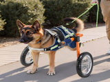 Dog Wheelchair for Back Legs, Lightweight 2 Wheels Pet Wheelchair, Height, Width & Length V952-CWLYLLSTDHXL2W9B4001V0
