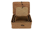 3 Pcs Hand Woven Storage Box Stationery Snacks Jewelry Storage Woven Basket with Lid for Home V1294-YM0901-3115250090311