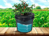 DWC Hydroponics Grow, Hydroponic Growing, Deep Water Culture 5-Gallon 4 Buckets, DWC V952-SSSPXTYX4110VW1XKV3