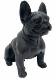 Danny French Bulldog Statue 47cm V637-E144286