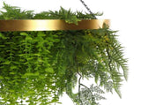 Imitation Gold Artificial Hanging Green Wall Disc 80cm UV Resistant Foliage V637-DP1191772