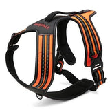 True Love Heavy Duty Sports Dog Harness - Orange, M ZAP-TLH5551-8