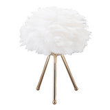Feather Table Lamp Adjustable Color Brightness Rechargeable Touch Control Decoration Night Light V1294-YM0716-3119220111511