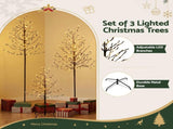 Jingle Jollys 3 Pack LED Christmas Tree Lighted Birch Tree Indoor Outdoor Xmas Decor Warm White XMAS-MOT-TWIG-3PC
