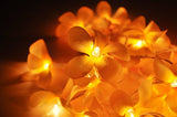 1 Set of 20 LED Orange Frangipani Flower Battery String Lights Christmas Gift Home Wedding Party V382-ORFRANGIBATT20