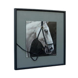 Horse w 3D Bridle Framed Canvas Wall Art 60cm V637-95206HRS