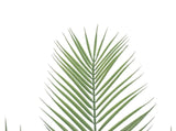 Small Artificial Areca Palm Plant 80cm V637-DP1193906