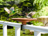 12 Inch Adjustable Bird Bath Bowl with Deck Mount, Tool Free Setup for Balcony Railing and Outdoor V1189-LC-RY-00011